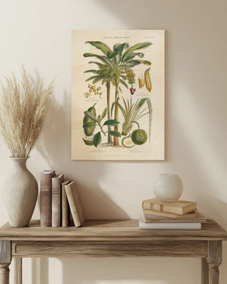 Fruit Trees Print