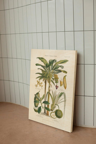 Fruit Trees Print