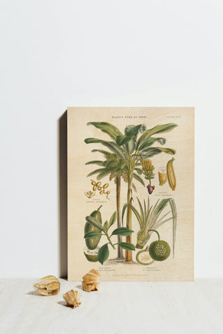 Fruit Trees Print