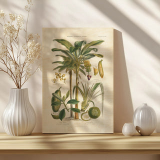 Fruit Trees Print