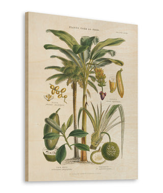 Fruit Trees Print