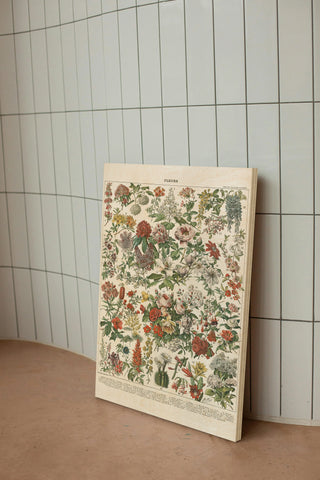 French Flower Chart Print