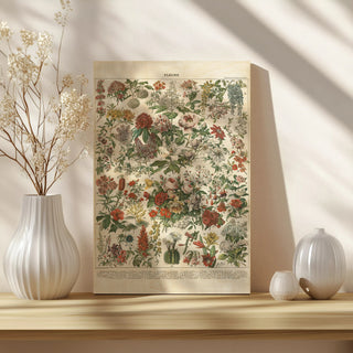 French Flower Chart Print