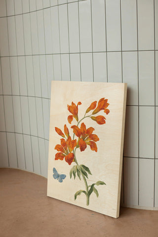 White Barn Flowers VII Print