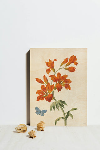 White Barn Flowers VII Print