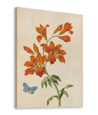 White Barn Flowers VII Print