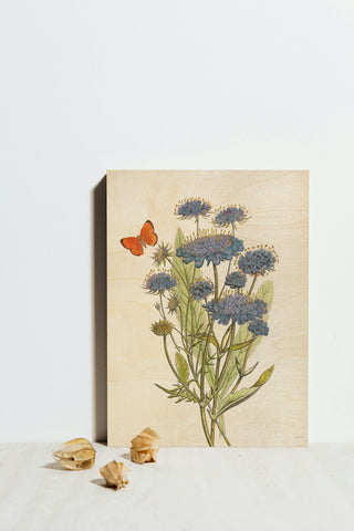 White Barn Flowers IX Print