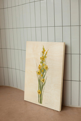 Farm Flower III Light Print
