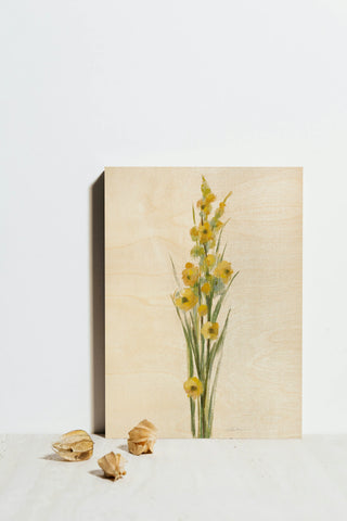 Farm Flower III Light Print