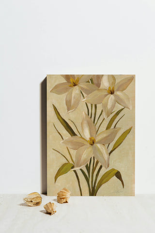 Elegant White Florals II Print