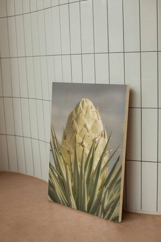 Joshua Tree Print
