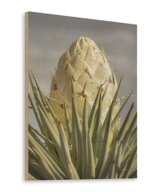 Joshua Tree Print