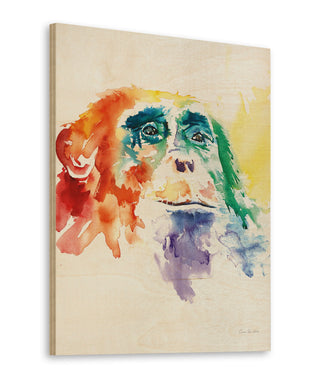 Chimpanzee I Print