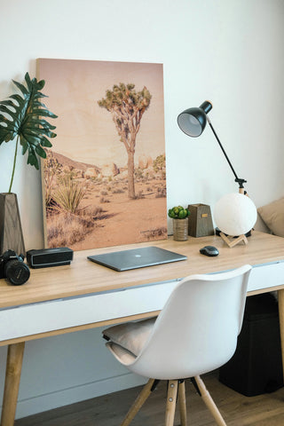 Joshua Tree III Blush Print