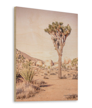 Joshua Tree III Blush Print