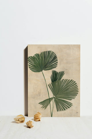 Palm Botanical III Print