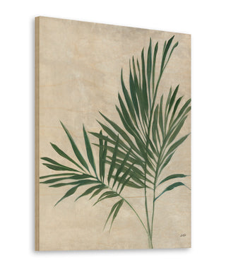 Palm Botanical IV Print