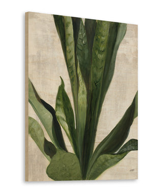 Tropical Study III Print