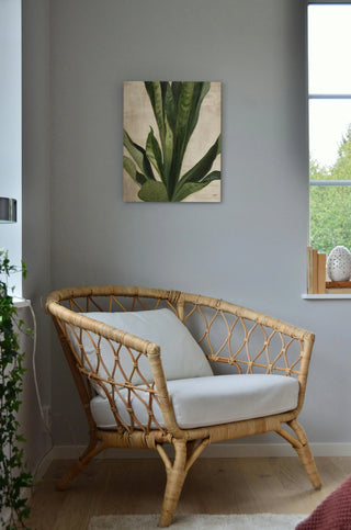 Tropical Study III Print