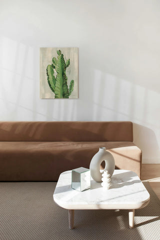Front Yard Cactus II Slate Print