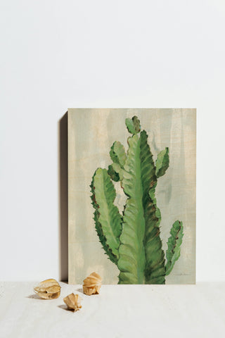 Front Yard Cactus II Slate Print