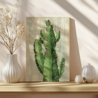 Front Yard Cactus II Slate Print