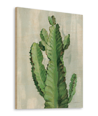 Front Yard Cactus II Slate Print