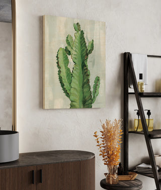 Front Yard Cactus II Slate Print