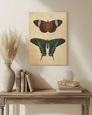 Papillons I Crop Print