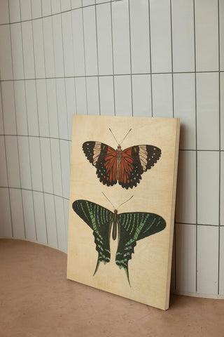 Papillons I Crop Print