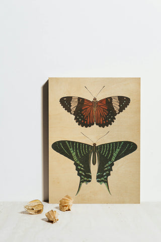 Papillons I Crop Print