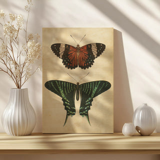 Papillons I Crop Print