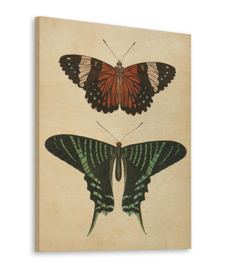 Papillons I Crop Print