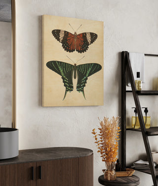 Papillons I Crop Print