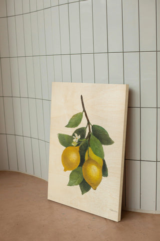 Lemon Branch III Print
