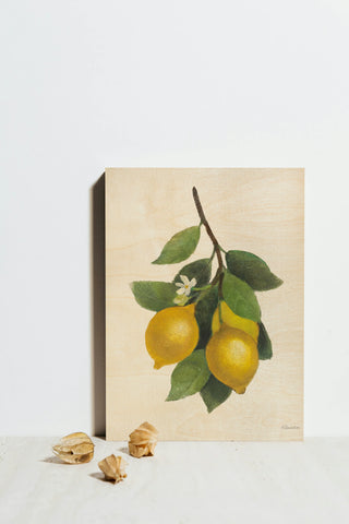 Lemon Branch III Print