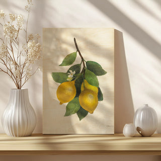 Lemon Branch III Print