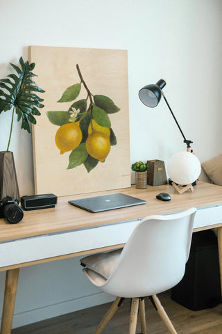 Lemon Branch III Print