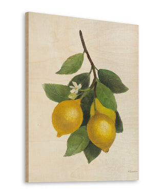 Lemon Branch III Print