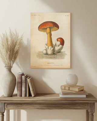 French Mushrooms II Print