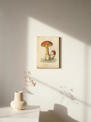 French Mushrooms II Print