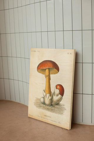French Mushrooms II Print