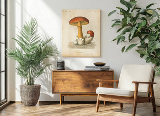 French Mushrooms II Print