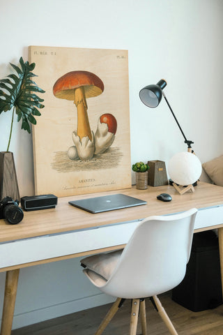 French Mushrooms II Print