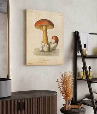 French Mushrooms II Print