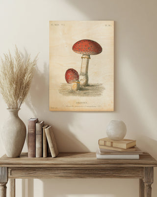 French Mushrooms III Print
