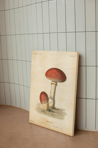 French Mushrooms III Print