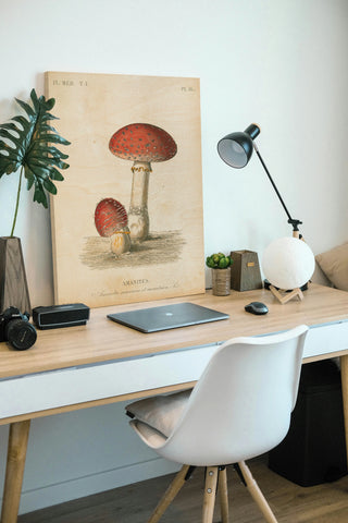 French Mushrooms III Print