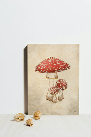 Woodland Mushroom II Print