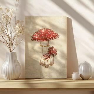 Woodland Mushroom II Print
